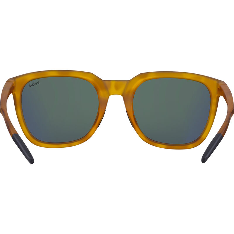 TALENT, Tortoise Matte-HD Polarized Axis, hi-res image number null